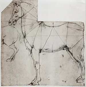 Analyzing: Drawing analysing movement of a horse