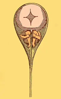 1694: Drawing of Homunculus, 1694