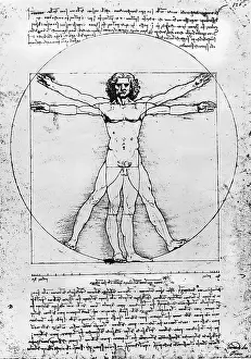 Proportions: Drawing and notes, by Leonardo da Vinci