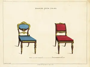 Regency Style: Two drawing room chairs, Regency style