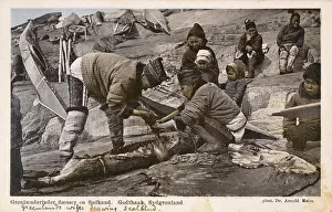 Carcasses: Drawing seal blood - Greenland