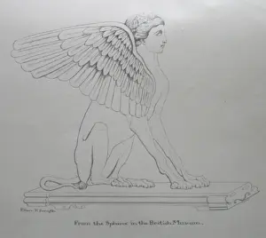 Aunt: Drawing of a Sphinx