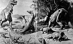 Gobi: Drawing Of Various Dinosaurs &