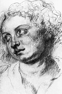 Tete: Drawing of a woman's head, by Rubens