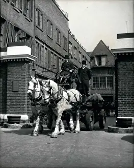 Strickland: Dray horses to pull Speaker's coach to Coronation, London