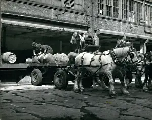Strickland: Dray horses to pull Speaker's coach to Coronation, London
