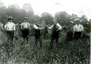 Scythe: Draycott, Cotswold vllage, Oldborough Farm, men and scythes