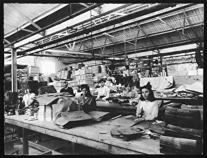 Pasting: DRAYTON'S PAPER