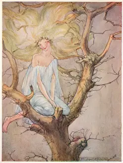 The Dream Pedlar - A Creature of Gossamer