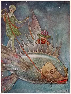 The Dream Pedlar - I'm beginning to enjoy myself