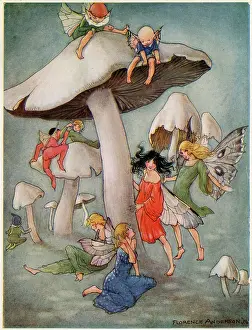 The Dream Pedlar - Where Mushrooms Grow