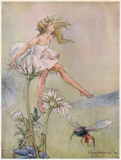 Pedlar: The Dream Pedlar - Sat on the Top of a Large Daisy