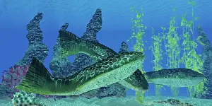 Detritivore: Drepanaspis gemuendenensis, an extinct primitive jawless ?