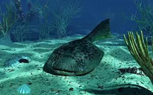 Detritivore: A Drepanaspis on the bottom of a shallow Devonian sea