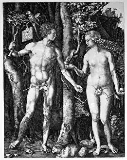 Paradies: D?rer, Albrecht (1471 -