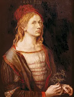Distel: D?rer, Albrecht (1471 -