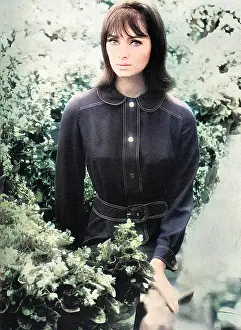 Hothouse: Dress by Ginger Group - Mary Quant, 1965