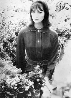 Hothouse: Dress by Ginger Group - Mary Quant, 1965