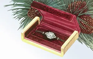 Braided: Dress Watch in Gift BoX