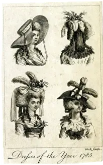 Elaborate: Dresses of the Year 1785