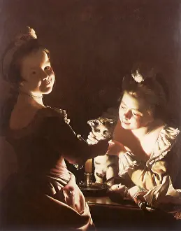 1760: Dressing the Kitten