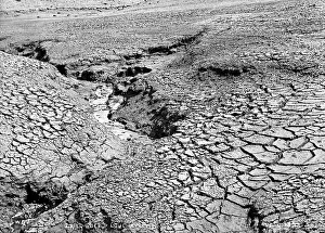 Beds: Dried Beds, Lough-A-Veema