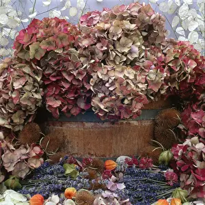 Millar: Dried Flower Arrangement ' Hydrangeas