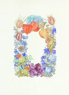 Physalis: Dried Flower Border Design