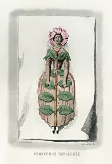 Fleurs: Dried Flower Periwinkle