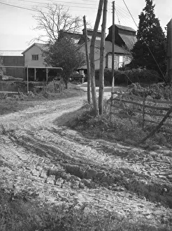 Caked: DRIED MUD COUNTRY LANE