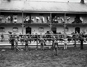 Inserted: Drill unit for cavalry horses