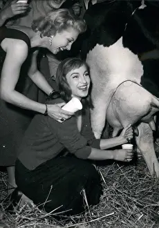 Milks: Drink Milk Campaign, milking a cow, Paris night cabaret club