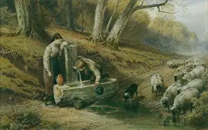 Myles: Drinking at the Water Trough