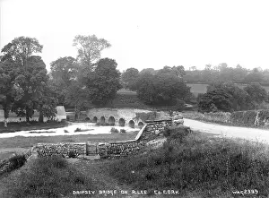 Cork: Dripsey Bridge on R. Lee, Co. Cork