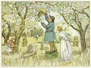 Beekeeping: DRIVING THE BEES