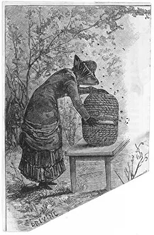 Hive: DRIVING THE BEES