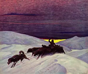 Tundra: Driving a Dogsled