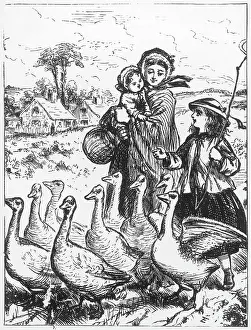 Countryfolk: DRIVING GEESE TO FAIR