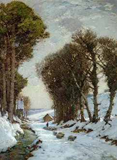 Lamorna: Driving Sheep in the Snow