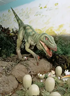Coelurosaur: Dromaeosaurus
