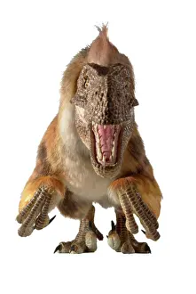 Dromaeosaurus: Dromaeosaurus, Fuzzy raptor