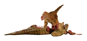 Jaws: Dromaeosaurus, Fuzzy Raptor