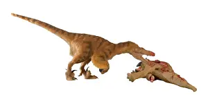 Jaws: Dromaeosaurus, Fuzzy Raptor