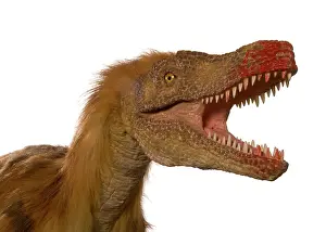 Jaws: Dromaeosaurus, Fuzzy Raptor