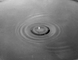 Raindrop: A DROP IN THE OCEAN