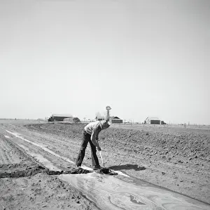 Cimarron: Drought - dust bowl - irrigation - agriculture
