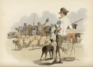 Smithfield: Drover
