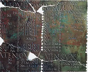 Numerals: Druid Calendar