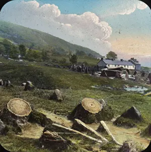 Pontypridd: Druidical Remains