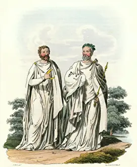 Druid: DRUIDS